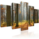 Foto schilderij - A nice forest landscape