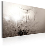 Foto schilderij - Beautiful Summer: Dandelions