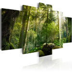 Foto schilderij -  The Beauty of the Forest