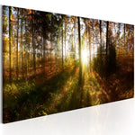 Foto schilderij - Beautiful Forest