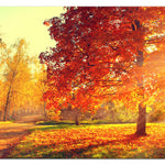 Foto schilderij - Autumn Afternoon (1 Part) Wide